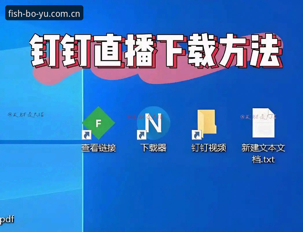 博鱼体育平台使用教程：从下载安装到直播回放完整操作指南