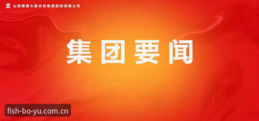 博鱼官方App下载与官网入口对比：新手注册教程与直播平台选择指南